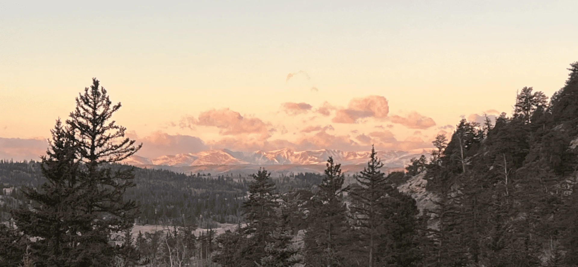 Soft sunset light over the Rocky Mountains and pine forests