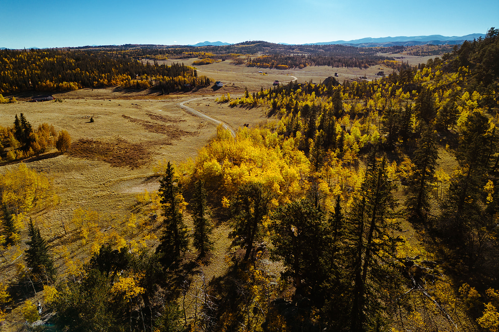 Wide view over the Freebird Valley meadow and distant Rocky Mountain ridgelines