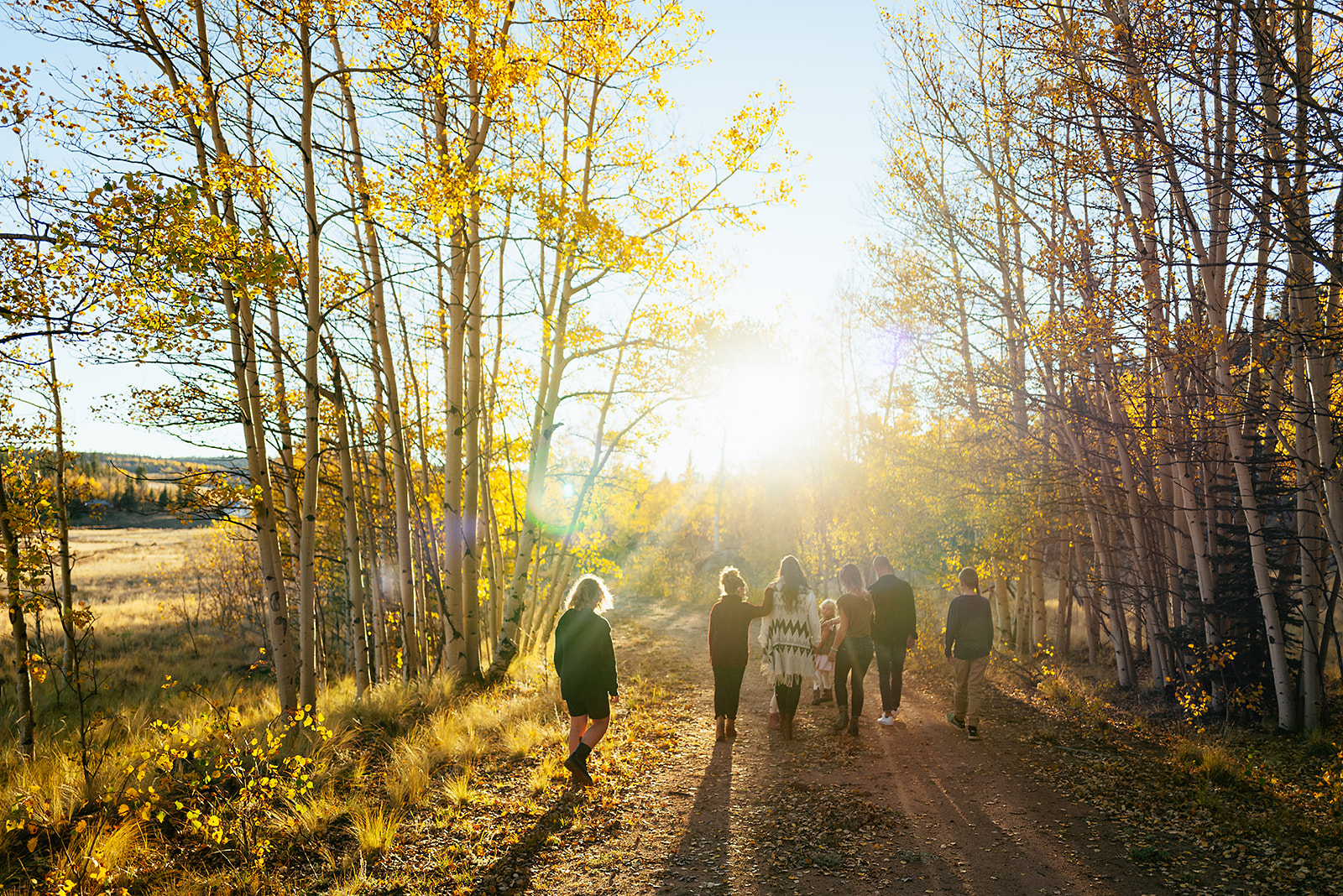 A group walking a sunlit dirt path through golden aspen trees